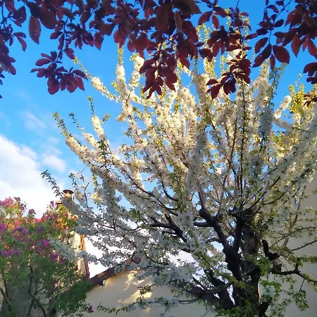Дом отдыха Garden House, Parking, 3 Mins Rer, 1km Paris *