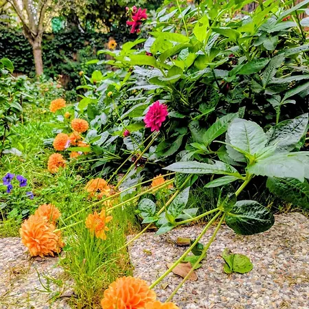 Garden House, Parking, 3 Mins Rer, 1km Paris